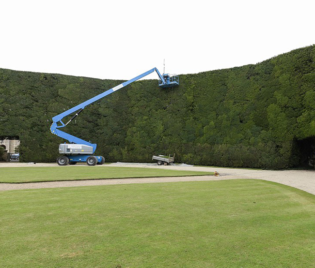 cherry picker hire yew trimming